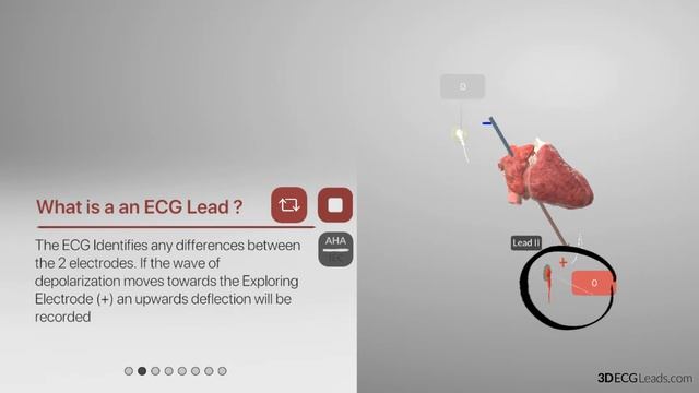 10 lead vs 12 lead ECG explained in 3D | 3D ECG mobile App смотреть онлайн