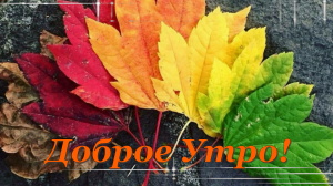 Красивая Музыкальная Открытка! Доброе Утро!