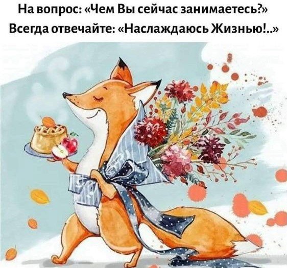 Я желаю счастья вам. Минутка юмора