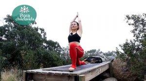 КОРОТКАЯ ЙОГА ЗА 10 МИНУТ - Утренняя йога на природе - Йога chilelavida