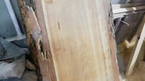 Двери из сосны или из листвы? прошу совета..