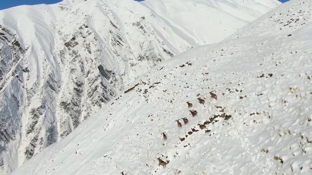 Тляратинский район, Дагестанский тур смотреть онлайн