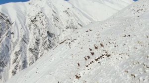 Тляратинский район, Дагестанский тур