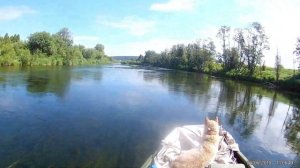 река Барда , ZONGSHEN GB1000FE 35 л.с. ,болотоход , Пермский край.