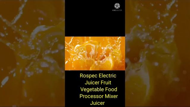 Rospec Electric Juicer Fruit Vegetable Food Processor Mixer Juicer 2Speed Stainless Steel For Home