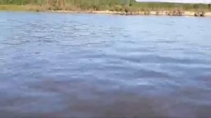 Катабайд-2 в оптимальном режиме