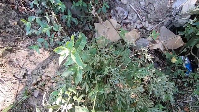 КАК ОБРАЗУЕТСЯ РОДНИК / ПОЕЗДКА ВЫСОКО В ГОРЫ . смотреть онлайн