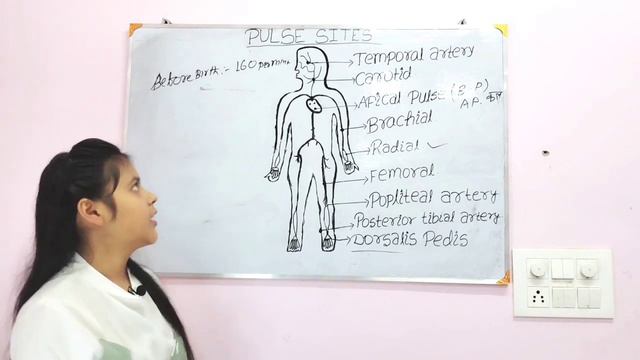 Pulse sites on the human body in hindi ( For A. N. M, G. N. M And All Medical Course) смотреть онлайн
