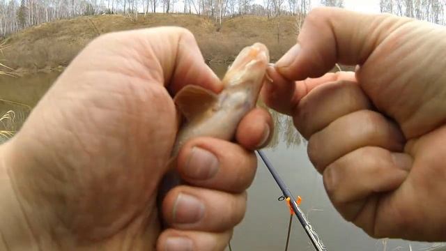 Ловля Пескаря на висячку в Межсезонье. Рыбалка на поплавок в октябре. смотреть онлайн