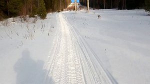 Мотоцикл Скаут-3 200см3. Покатушки по тропам снегохода