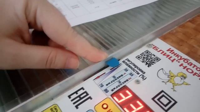 Инкубация для начинающих. Выводим цыплят в инкубаторе Блиц Норма на 72 яйца.