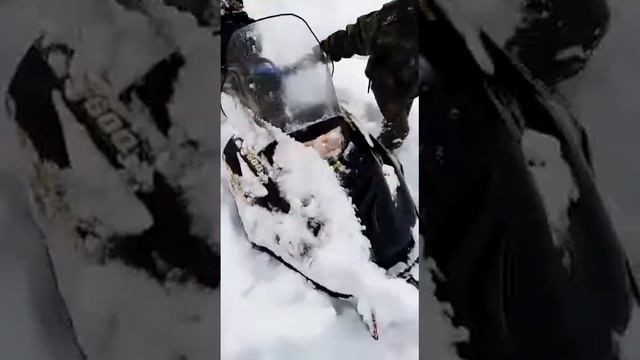 Съездил за дровами смотреть онлайн