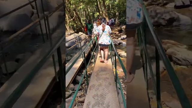 Dudhsagar waterfall day 3 #dudhsagar #southgoa #southgoatourismplaces #goavlog #viralvideo