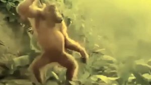 my name is giovanni giorgio monkey but everybody calls me dancing monkey