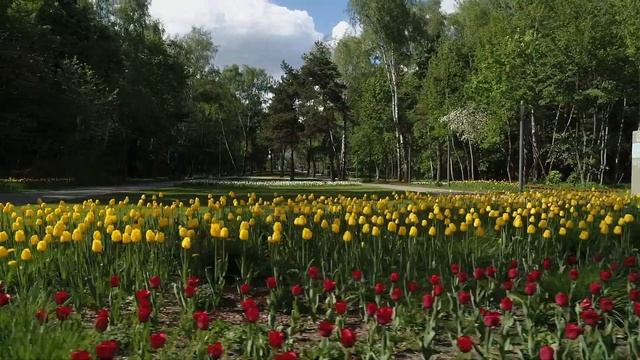 Весна в парке Кузьминки. 2020