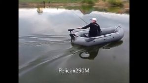 Лодка Pelican290M