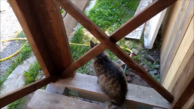 Вялю помидоры, доделываю пристрой к веранде//Наталья Харитонова смотреть онлайн