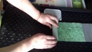 Посев семян Баклажан в Улитку на туалетную бумагу.