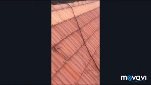 Очистка и покраска черепицы