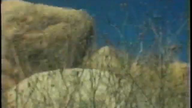 Victims! (1985) смотреть онлайн