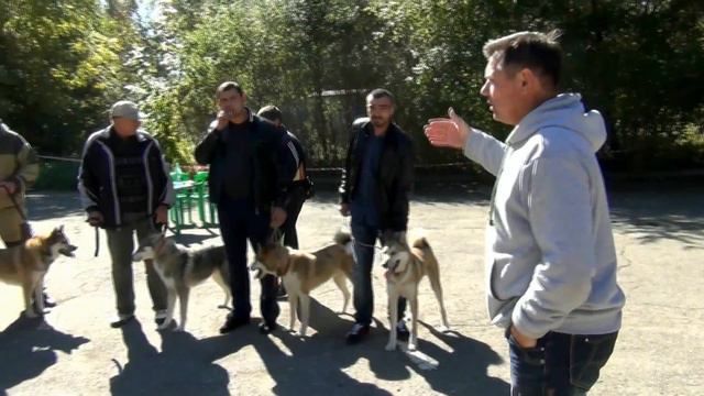 Осенняя выставка охотничьих собак клуба Canis Venandi 11 октября 2014 г. смотреть онлайн