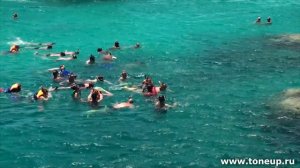 Сноркелинг в Красном море, экскурсия из Хургады