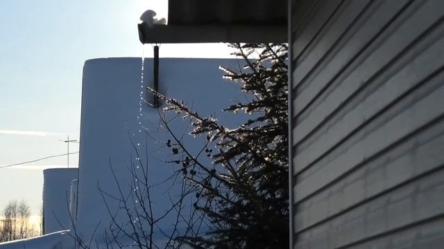 15-20 02 2022г сею томаты и цветы дача под Архангельском смотреть онлайн