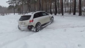 Антара в снегу