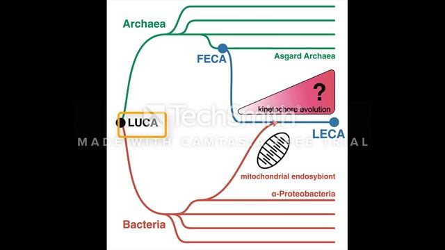 Систематика за Воузом смотреть онлайн