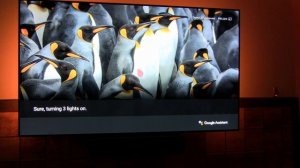 LG OLED C9 TV GOOGLE ASSISTANT AND SEARCH SMART TV DEMO 65 4K HDR TV C9PUA Television