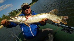 Рыбалка на Ахтубе 2017 (2/3)