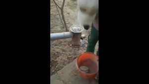 Коптильня из холодильника. Холодное копчение.