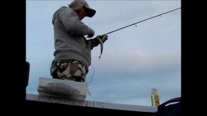 Ловля судака на меляках.