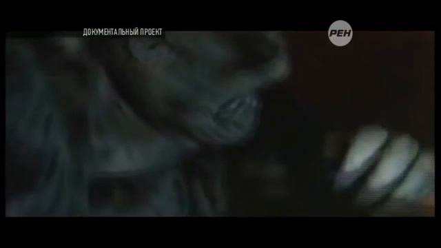 УНИКАЛЬНЫЕ НАХОДКИ АРХЕОЛОГОВ И ЧЕРНЫХ КОПАТЕЛЕЙ. Древний город
