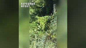 Водители не знают, но в зарослях бурьяна прячется обрыв в реку 7-метровой высоты