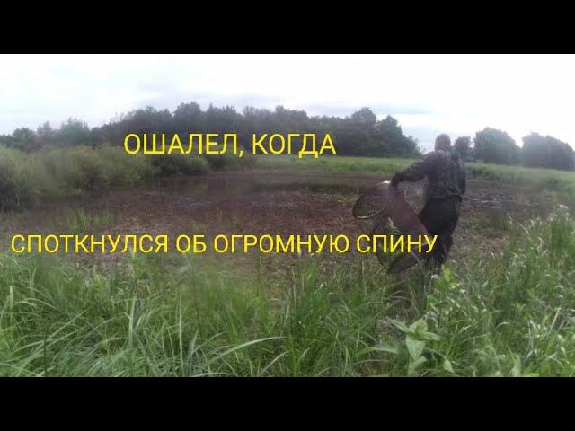 ОСОБАЯ РЫБАЛКА В ЛУЖЕ ПОСЛЕ ПОЛОВОДЬЯ смотреть онлайн