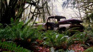 Заброшенные автомобили со всего мира.