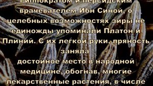 Семена зиры восхитительный источник железа для вашего здоровья