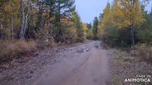 Осень Кыринский район смотреть онлайн