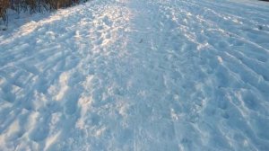 поставил мотор колесо от гироскутера на снегокат