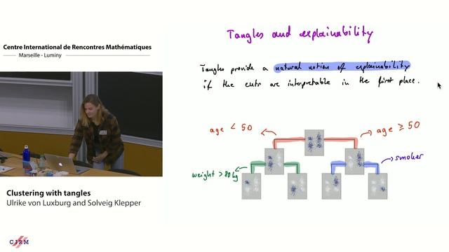 Ulrike von Luxburg and Solveig Klepper: Clustering with tangles смотреть онлайн