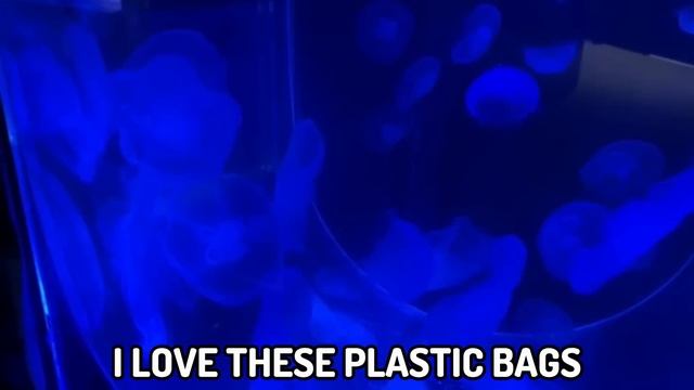 Adding Way Too Many Fish to Minecraft смотреть онлайн