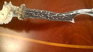 Продал РОГ КОСУЛИ