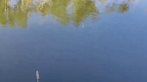 Рыбалка в Оренбурге и области