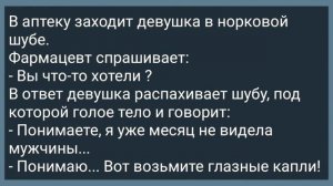 Кум с Кумой Пошли на Рыбалку! Сборник Свежих Анекдотов! Юмор!