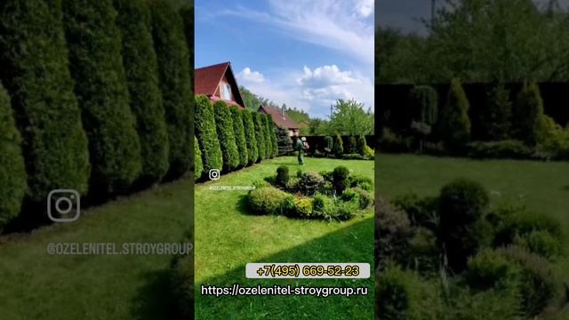 Услуги стрижки хвойных деревьев и кустарников. Выезд агрономов по Москве и МО. Звоните и заказывайте