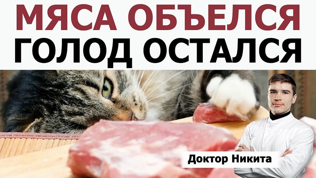 Почему остается чувство голода после большого стейка на кетогенной диете