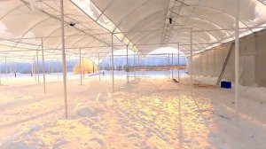 Как уменьшить нагрузку снега на теплицу. Теплица зимой. Блочная теплица. Аграрный эксперимент.