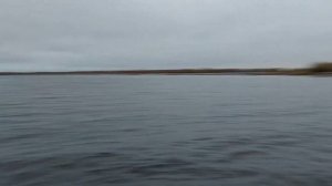 Рыбалка в хорошей компании на реке Ловать.