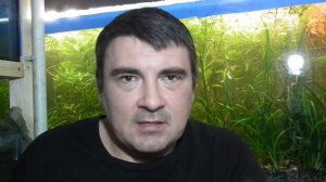 Удобрения в аквариуме. Первая часть.